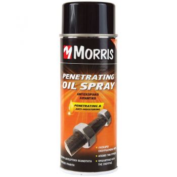 ΣΠΡΕΙ ΑΝΤΙΣΚΩΡΙΑΚΟ ΛΙΠΑΝΤΙΚΟ MORRIS 400ML
