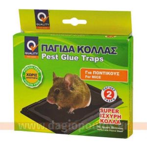 ΠΟΝΤΙΚΟΠΑΓΙΔΑ ΚΟΛΛΑΣ ΜΕΣΑΙΑ (2 ΤΜΧ) QUALITY 